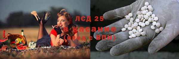 СК Дмитровск