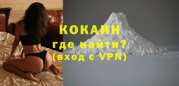 СК Дмитровск