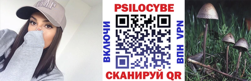 где купить   Нефтекамск  Псилоцибиновые грибы мухоморы 